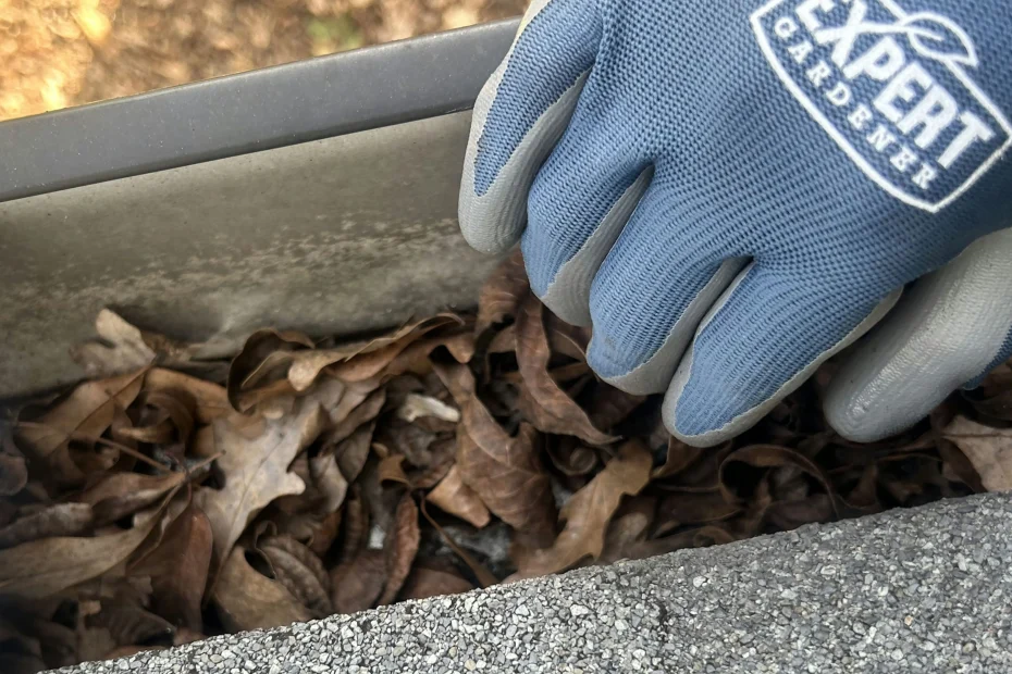 Keller Gutter Cleaning